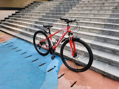 29" Mountain Bike (Steel Frame)