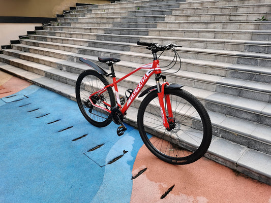 29" Mountain Bike (Steel Frame)