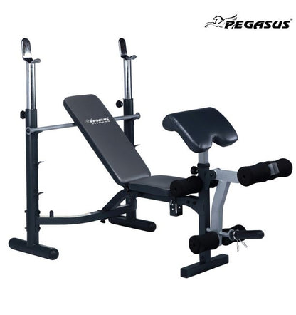 Commercial Weights Bench 746