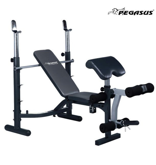 Commercial Weights Bench 746