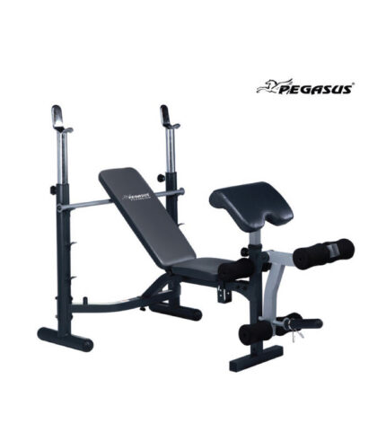 Commercial Weights Bench – JX-764